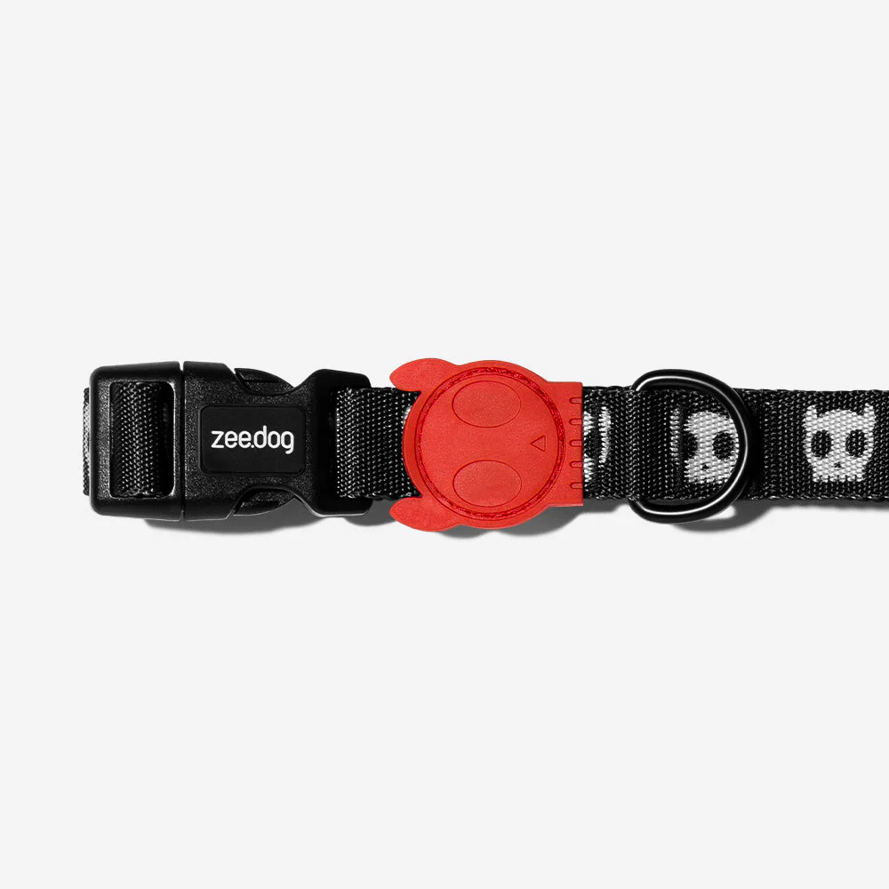 Set collare e guinzaglio per piccola taglia (zee dog) - immagine 10
