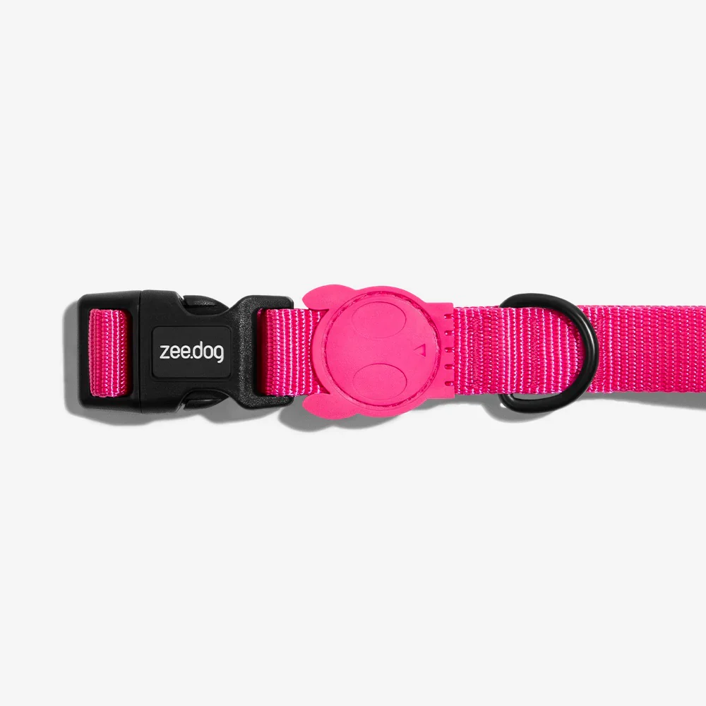Set collare e guinzaglio per piccola taglia (zee dog) - immagine 2