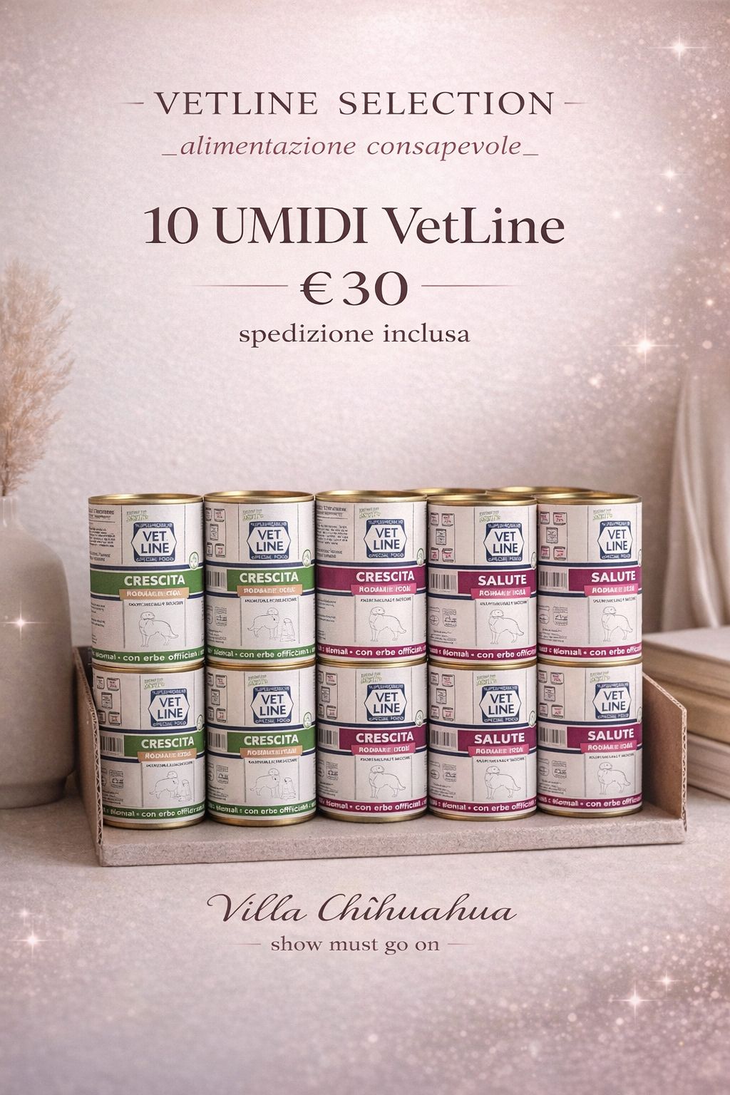 VetLine Daily Box – 10 Umidi da 400 g | Qualità Quotidiana